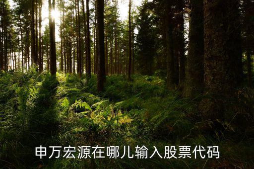 申萬宏源為什么用字母查不到股票，申萬宏源在哪兒輸入股票代碼