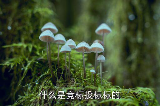 什么是投標(biāo)標(biāo)的，投標(biāo)的標(biāo)項(xiàng)是什么