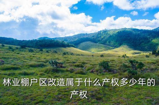 什么是林業(yè)棚戶區(qū)，請問蛟河林業(yè)棚戶區(qū)建造的樓房為什么收取物業(yè)費(fèi)會和取暖費(fèi)捆綁在一