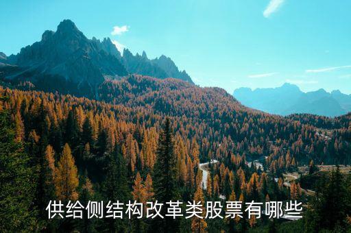 供給側(cè)最利好什么股票，供給側(cè)改革概念股有哪些