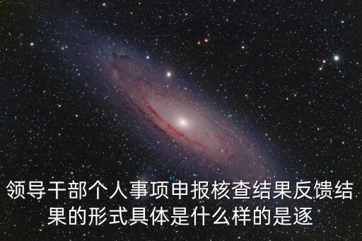 領導干部個人事項申報核查結(jié)果反饋結(jié)果的形式具體是什么樣的是逐