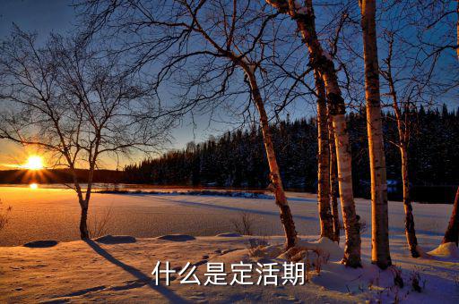 定期活期是什么意思，什么是定活期