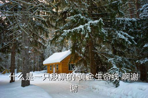 什么是股市生命線，什么是一只股票的 黃金生命線 啊謝謝