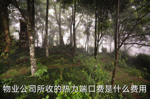 什么是端口費(fèi)，現(xiàn)在電信包月網(wǎng)線得多少錢還有那端口費(fèi)是什么意思