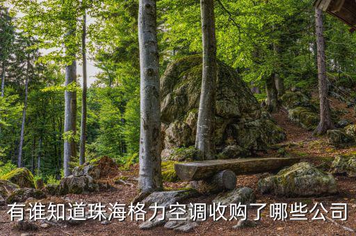 格力收購什么，有誰知道珠海格力空調收購了哪些公司