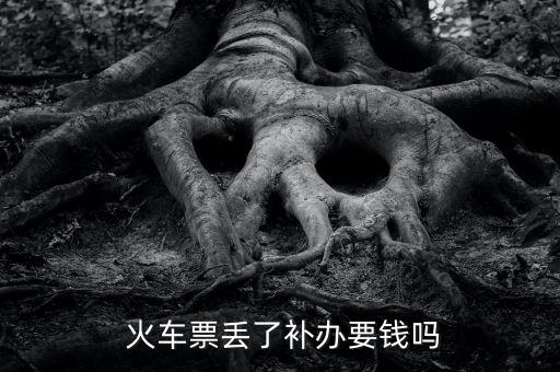火車票丟了補(bǔ)票怎么收費,火車票補(bǔ)票有很多情況需要提供車票