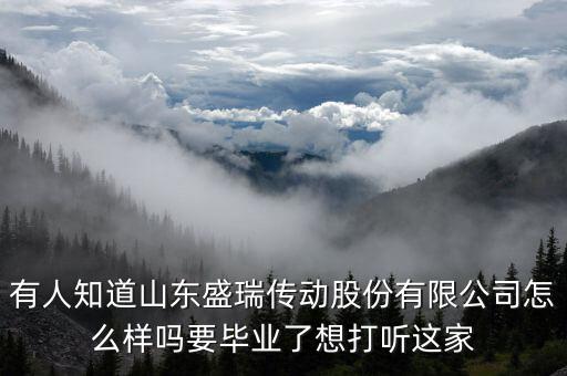 盛瑞企業(yè)是干什么的，南京銳盛互聯(lián)網(wǎng)科技有限公司主要是做什么的