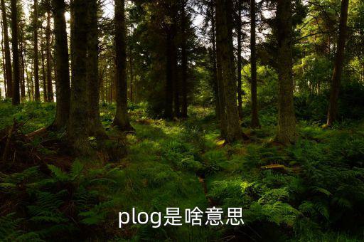 airbnb是什么意思，booking是什么意思