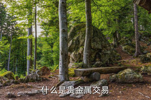 貴金屬交易是什么，什么是貴金屬交易