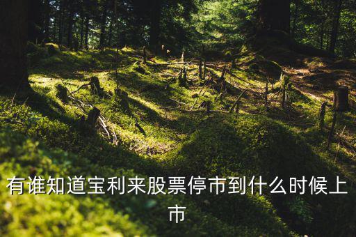 寶利來(lái)什么時(shí)候成為st股的，正常的股票變成st的具體時(shí)間