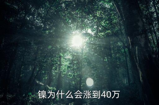 鎳為什么會(huì)漲到40萬