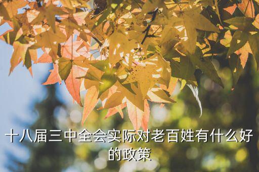 十八屆三中以來(lái)對(duì)此出臺(tái)了什么文件，剛剛閉幕的十八屆三中全會(huì)發(fā)布的公告其核心內(nèi)容是什么