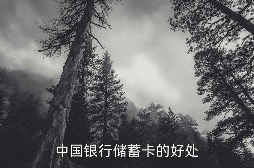 中國銀行存蓄卡有什么好處，中國銀行儲蓄卡的好處