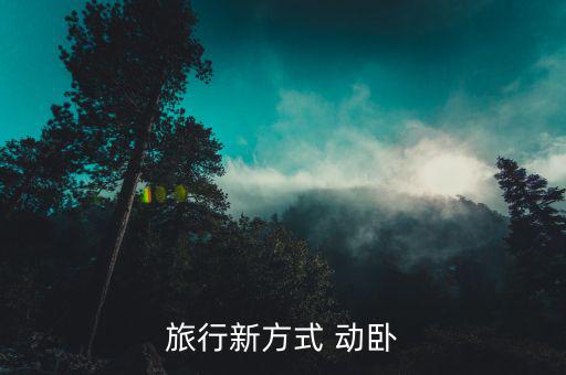 動(dòng)臥怎么買(mǎi)上鋪,第一次嘗試動(dòng)臥臥鋪車(chē)廂分為兩個(gè)包間
