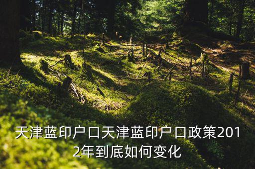 天津藍(lán)印戶(hù)口天津藍(lán)印戶(hù)口政策2012年到底如何變化