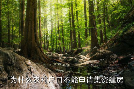 為什么現(xiàn)在不能集資，為什么農(nóng)村戶口不能申請集資建房