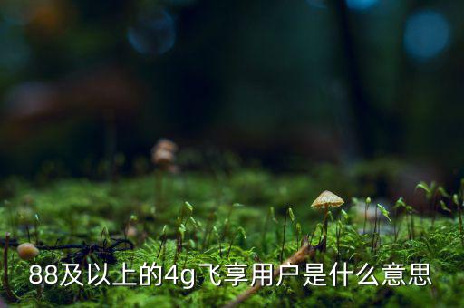 4g用戶是什么意思，88及以上的4g飛享用戶是什么意思