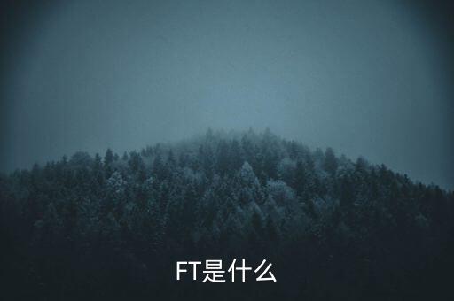 什么是FT調(diào)查，F(xiàn)T是什么