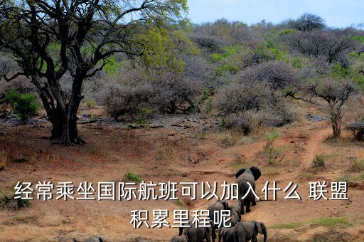 星空聯(lián)盟積分怎么算,南航、東航可通過明珠卡共享積分等