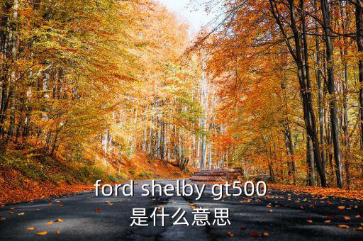東盟油500是什么，ford shelby gt500是什么意思