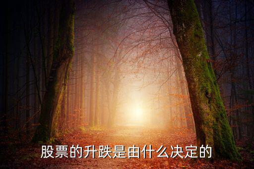 股票根據(jù)什么跌升，股票的升跌是由什么決定的