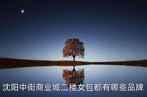 中街商業(yè)城都有什么品牌，沈陽(yáng)中街商業(yè)城二樓女包都有哪些品牌