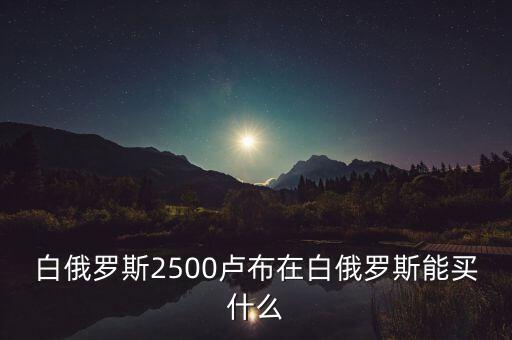 白俄羅斯盧布50可以買什么，白俄羅斯2500盧布在白俄羅斯能買什么