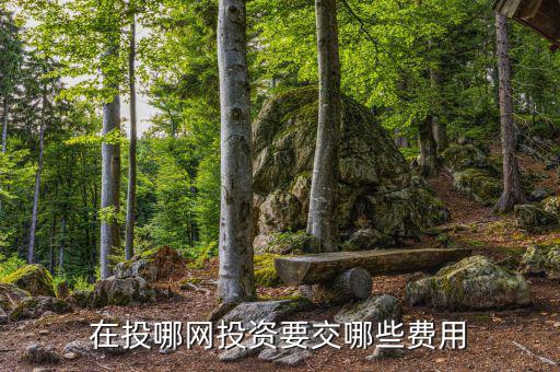 投哪網(wǎng)管理費(fèi)什么時(shí)候收取，投哪網(wǎng)收手續(xù)費(fèi)嗎
