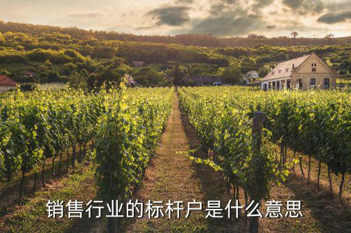 什么叫標(biāo)桿營銷，銷售行業(yè)的標(biāo)桿戶是什么意思
