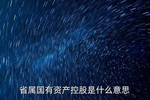 國(guó)資控股什么意思，國(guó)有資金投資占控股是什么意思