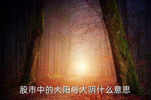 股票大陽是什么意思，股市中的大陽與大陰什么意思