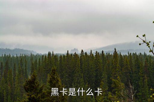 銀行卡黑卡是什么級別，黑卡是什么卡