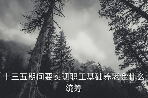 全國(guó)參保計(jì)劃包括什么，全民參保登記計(jì)劃包括快退休人員嗎