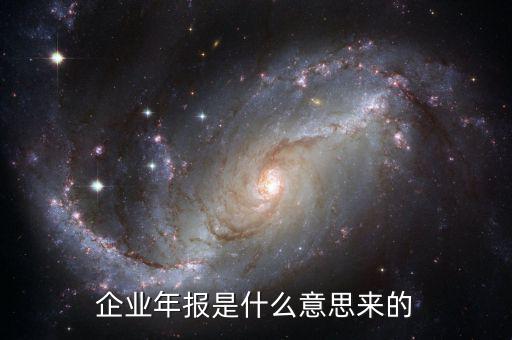 什么是企業(yè)年度報告，企業(yè)年報是什么意思來的