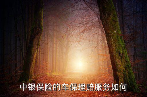 中銀保險車險vip客戶有什么權利，中銀保險的車保理賠服務如何