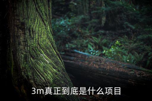 3m靠什么盈利，fifa online 3m玩家怎么賺錢
