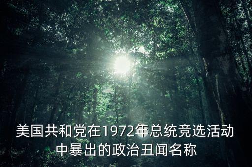 美國共和黨在1972年總統(tǒng)競(jìng)選活動(dòng)中暴出的政治丑聞名稱