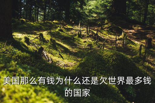 為什么美國(guó)欠中國(guó)錢，世界第一經(jīng)濟(jì)體美國(guó) 為什么還要向中國(guó)借錢