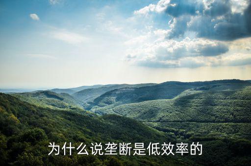 壟斷的無效率是什么，為什么說壟斷會導(dǎo)致低效率