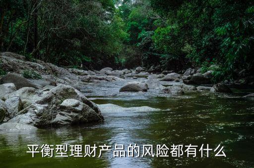 理才客戶風(fēng)險平衡型是什么意思，平安銀行評估平衡型是什么意思