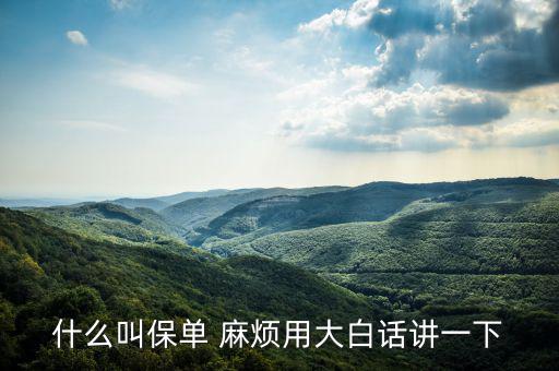什么是保單，什么是保單