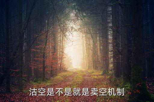 沽空機(jī)制是什么，什么是沽空沽空是什么意思