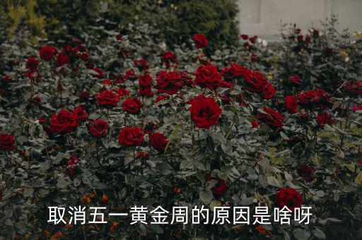 五一黃金周為什么取消，為什么取消五一黃金周