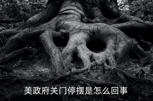 為什么美國(guó)政府關(guān)門，美國(guó)國(guó)會(huì)為什么關(guān)門
