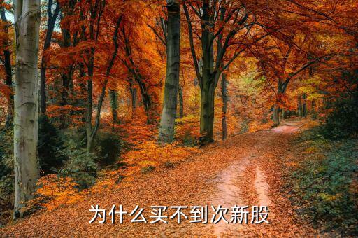 為什么次新股不能買(mǎi)，為什么買(mǎi)不到次新股