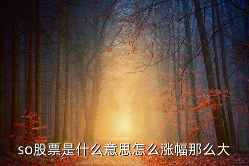 so股票是什么意思，股市上so開(kāi)頭的是什么意思