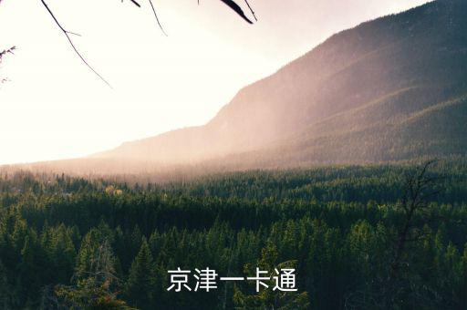 京津冀公交卡一體卡是什么樣子的，在北京辦的藍色的公交卡是可以在石家莊所有公交用了嗎還是說京津