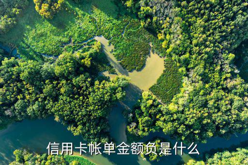 深圳發(fā)展銀行信用卡負金額是什么意思，信用卡帳單金額負是什么