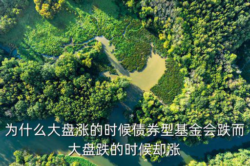 為什么大盤跌基金漲，為啥大盤漲基金反而跌基金又漲