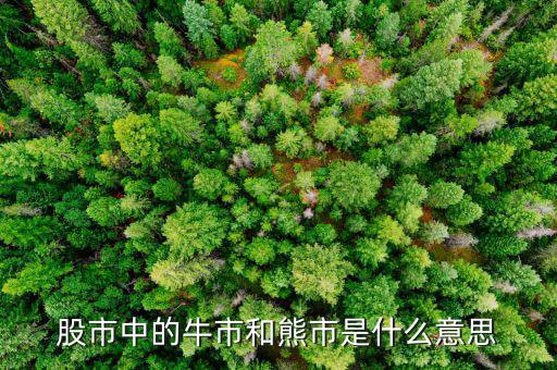 熊市的意思是什么，股市中的牛市和熊市是什么意思